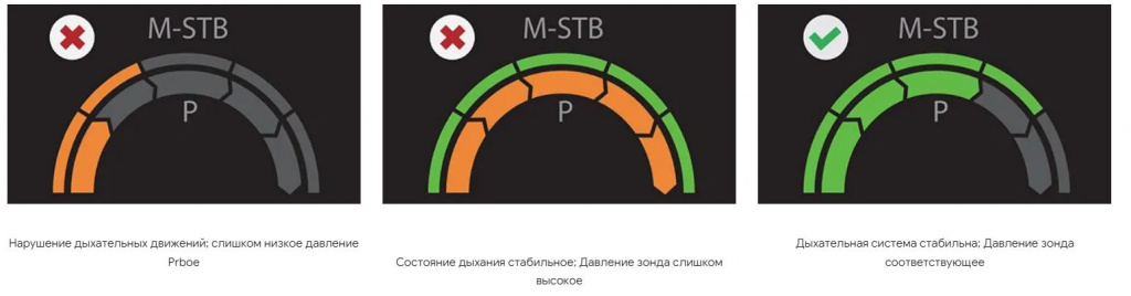 Hepatus 6 M-STB.JPG