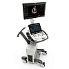 Ультразвуковой аппарат GE Healthcare Vivid S60 
